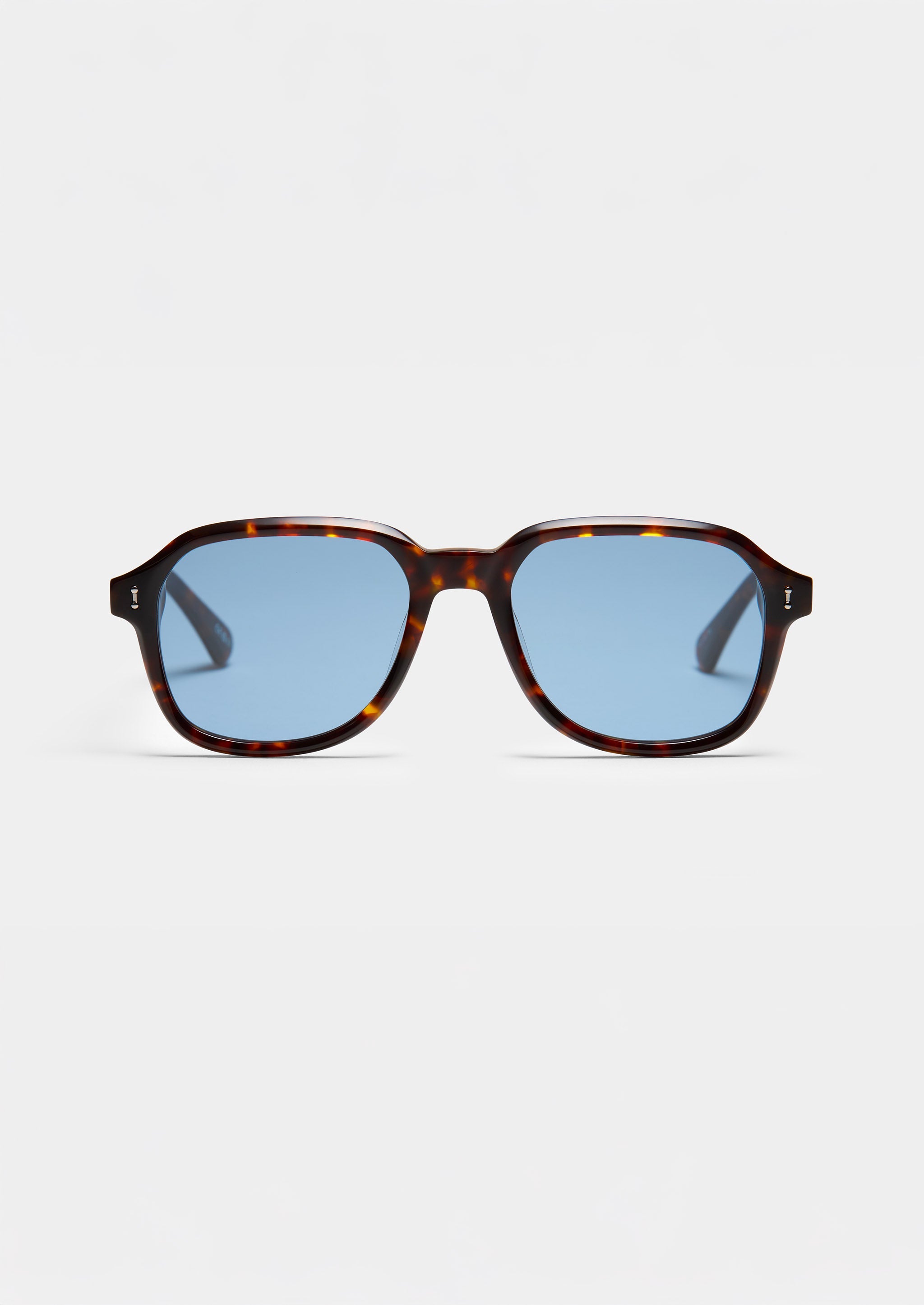 S126 NIGHT TRAIN SUN TORTOISE GRAY BLUE